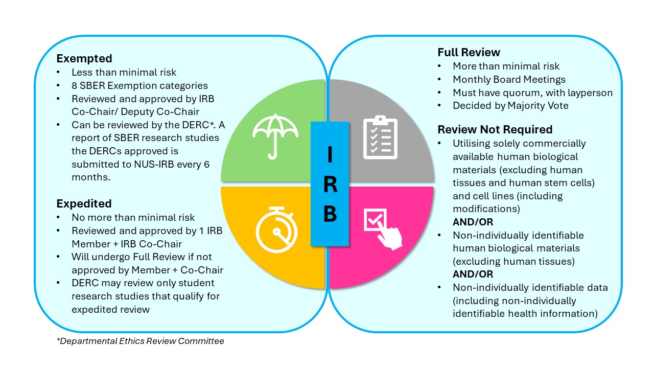 Type of Review (Updated)